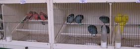 Файл=P1010107.jpg
Объём=55КБ
Размеры=709x250
Дата=Нояб 26, 2006 P1010107.jpg