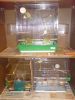 DSC00278.JPG