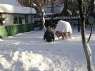 Файл=DSC03598.JPG
Объём=44КБ
Размеры=533x400
Дата=Дек 01, 2010 DSC03598.JPG