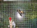 Fichero: Изображение_040.jpg
TamaГ±o: 71KB
Dimensiones: 533x400
Fecha de alta: 25 de Oct de 2010 Изображение_040.jpg