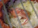 DSC01536.JPG