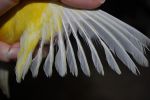 DSC_0025.JPG