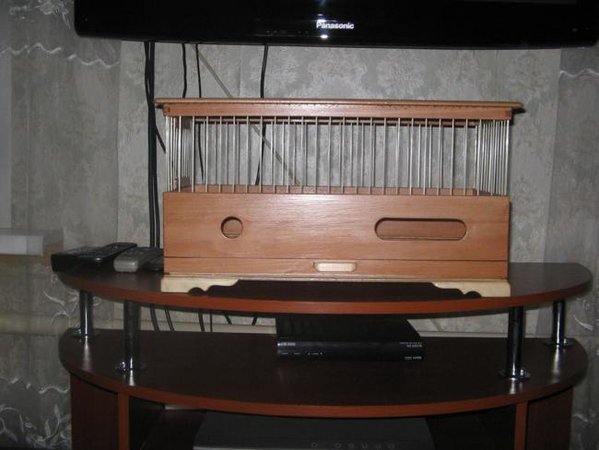 IMG_0001_650x488.JPG