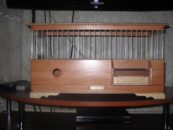 IMG_0002_650x488.JPG