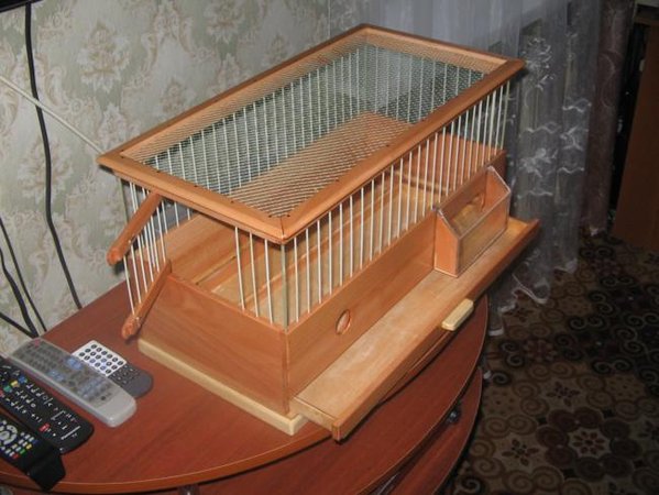 IMG_0007_650x488.JPG