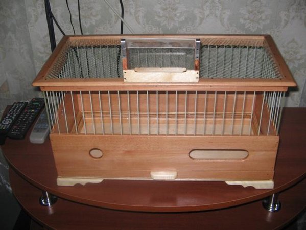 IMG_0010_650x488.JPG