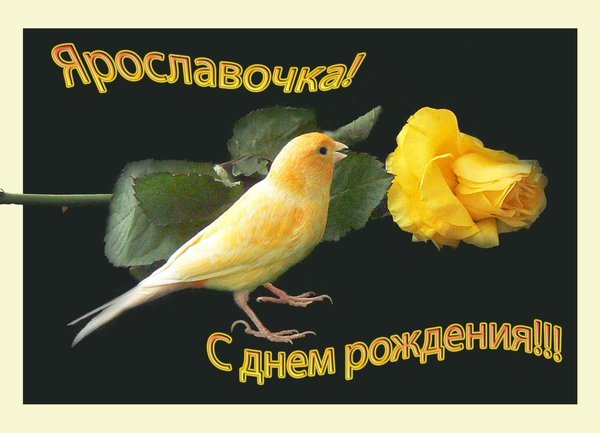 111ж.jpg