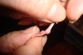 DSC02162.JPG