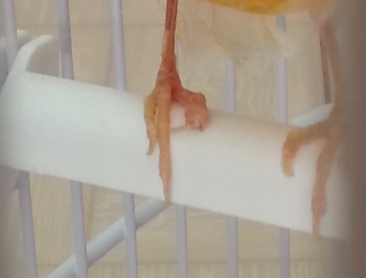 20140326_084613.jpg