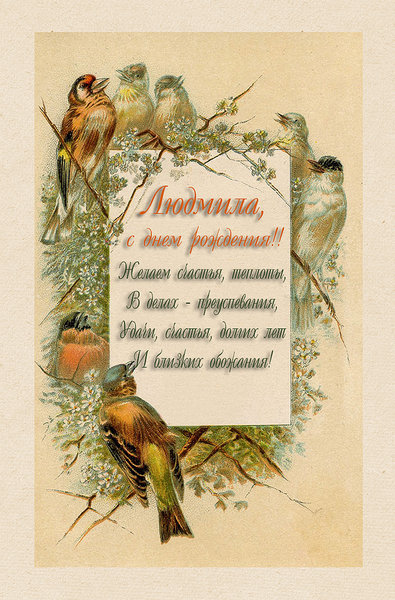 nb_vp_card1.jpg