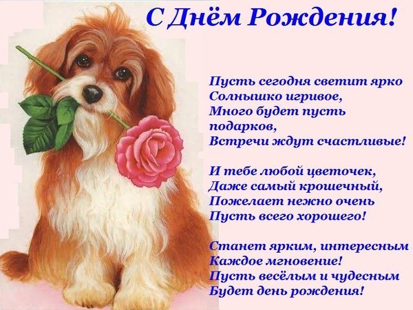 975013356.jpg