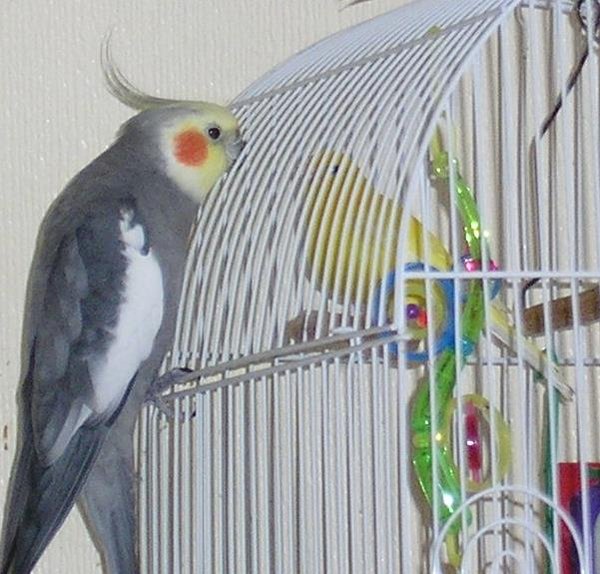 общаются.JPG (61.38 КБ) Просмотров: 5252 общаются.JPG