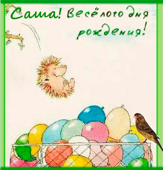 Без-имени-2.gif