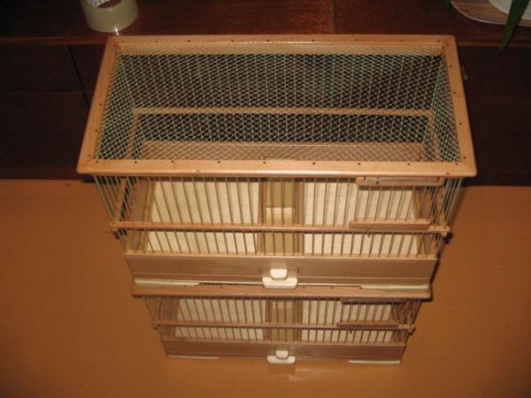 IMG_0002_650x488.JPG