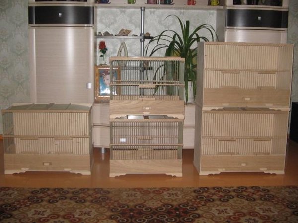 IMG_0008_621x466.JPG (42.58 КБ) Просмотров: 6395 IMG_0008_621x466.JPG