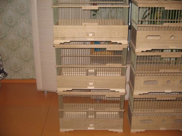 IMG_0003_621x466.JPG