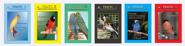 Выпуски за год.jpg (112.64 КБ) Просмотров: 15638 Выпуски за год.jpg