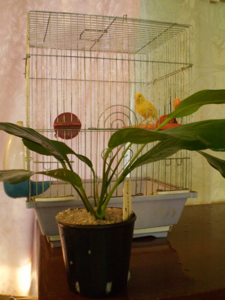 PA111604.jpg