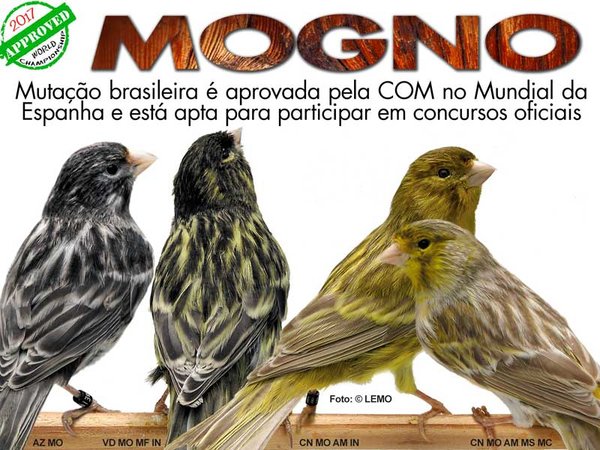 Federação-Ornitológica-do-Brasil.jpg