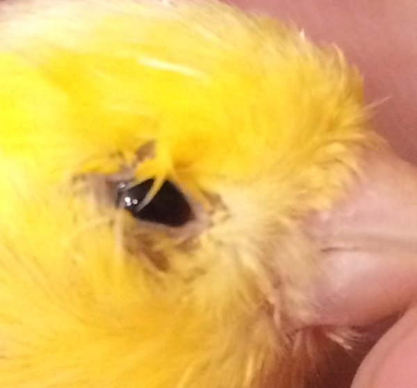 IMG_8369.JPG (77.83 КБ) Просмотров: 2091 IMG_8369.JPG