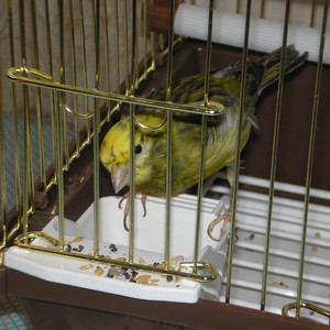 PB110017.jpg