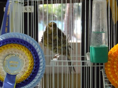 DSCF0808.JPG