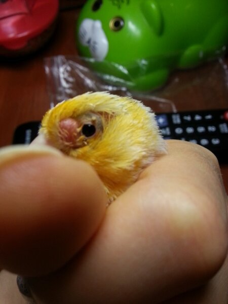 2.jpg (80.03 КБ) Просмотров: 9247 2.jpg