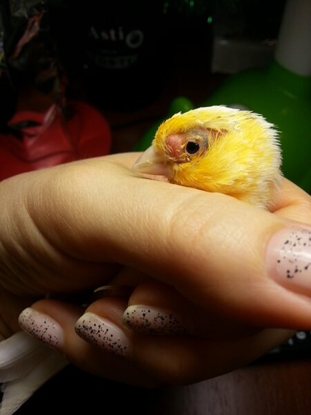 1.jpg (83.04 КБ) Просмотров: 9246 1.jpg