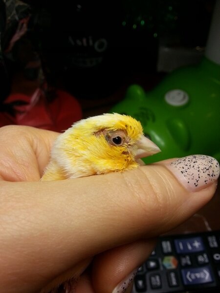 3.jpg (83.42 КБ) Просмотров: 9247 3.jpg