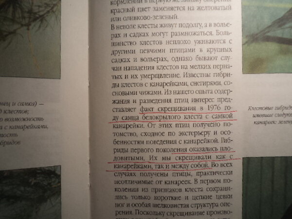 DSC02595 (1).JPG