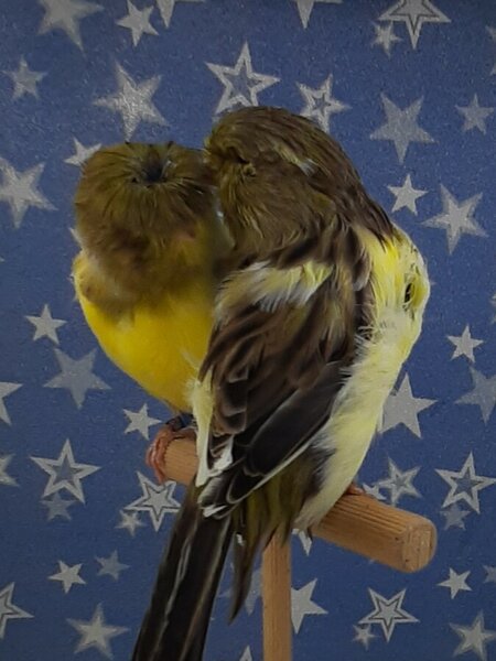 С-3.jpg (115.15 КБ) Просмотров: 6070 С-3.jpg