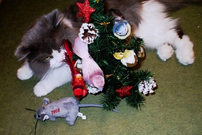 Кот и ёлочка.jpg