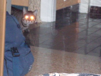 smigolius.jpg