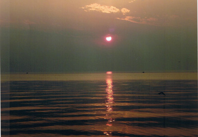 Immagine 007.jpg