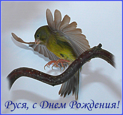 открытка.jpg