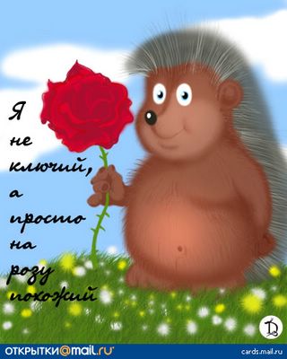a3d2fa07f55267accafaa91af714bdff [320x200].jpg