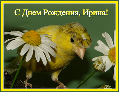 открытка для Ирины.jpg
