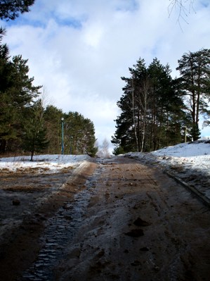 дорога.jpg
