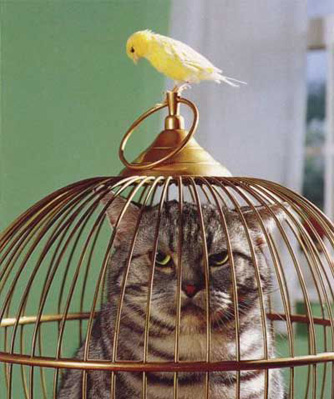в клетке4666f_full.jpg