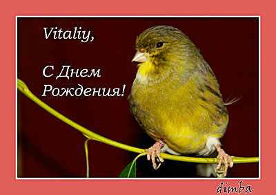 открытка для Vitaliya.jpg