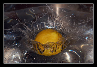 DSC_0006.jpg
