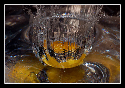 DSC_002.jpg