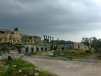 13022008083.jpg