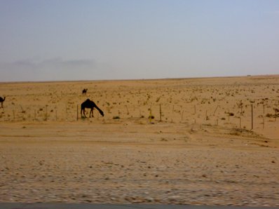 19022008093.jpg