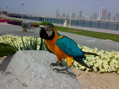 18042008233.jpg