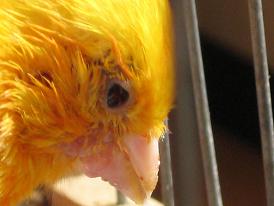IMG_10371.JPG