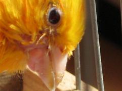 IMG_10361.JPG