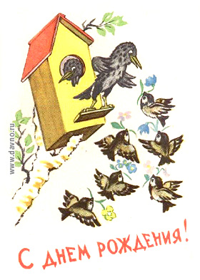 bd9.jpg