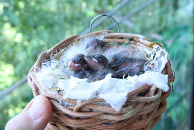 1 007_400.jpg