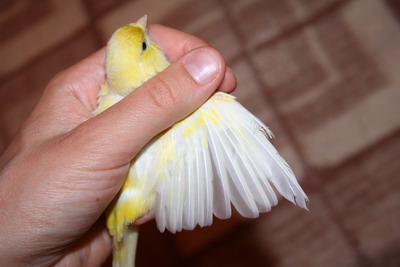 12 07 002_400.jpg